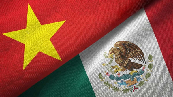 What is an urgent Vietnam 3 month evisa for Mexico tourists?